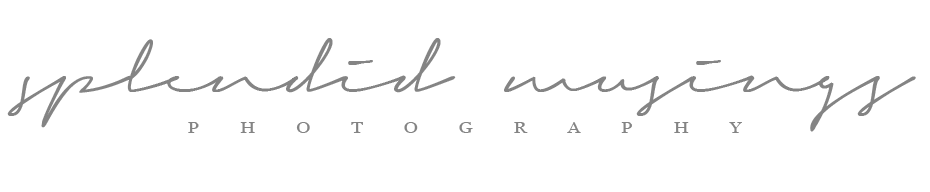 Splendid Musings Photography logo