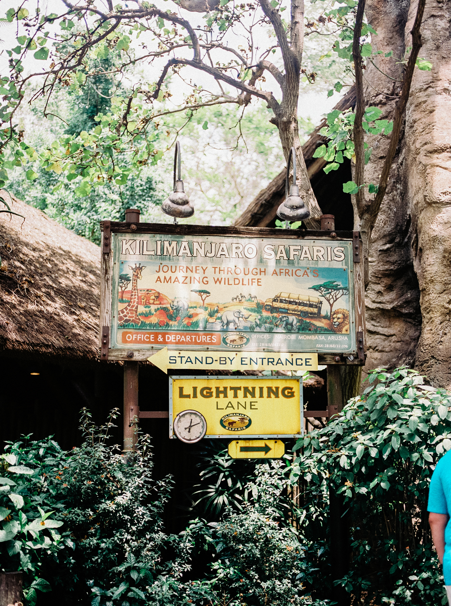 disney world's animal kingdom plus-sized guide for africa