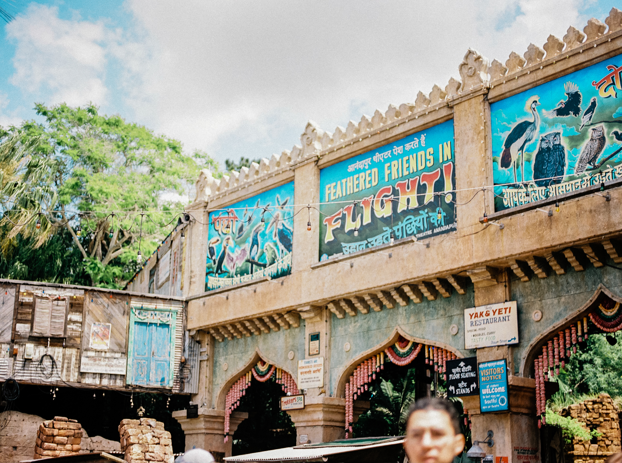 disney world's animal kingdom plus-sized guide for asia