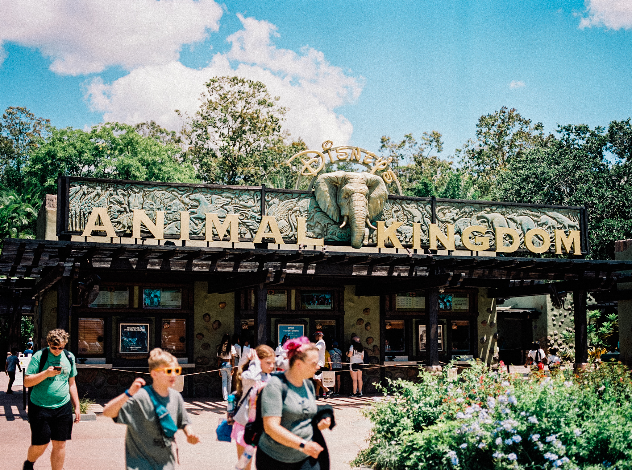 disney world's animal kingdom entrance and sign